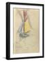 Carnet : Bateau à voile-Paul Signac-Framed Giclee Print