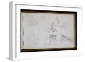 Carnet de croquis : études de crabe-William Adolphe Bouguereau-Framed Giclee Print