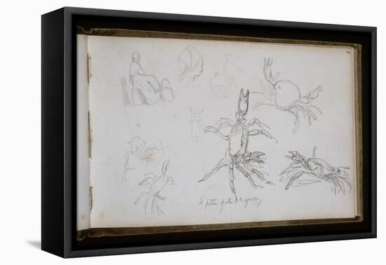 Carnet de croquis : études de crabe-William Adolphe Bouguereau-Framed Stretched Canvas