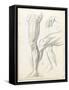 Carnet de dessins-Gustave Moreau-Framed Stretched Canvas