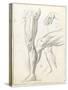 Carnet de dessins-Gustave Moreau-Stretched Canvas