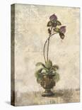 Histoire Du Orchid VI-Carney-Stretched Canvas