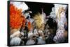 Carnival, Corrientes, Northern Argentina, Argentina, South America-Walter Rawlings-Framed Stretched Canvas