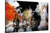 Carnival, Corrientes, Northern Argentina, Argentina, South America-Walter Rawlings-Stretched Canvas