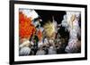 Carnival, Corrientes, Northern Argentina, Argentina, South America-Walter Rawlings-Framed Photographic Print