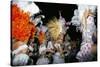 Carnival, Corrientes, Northern Argentina, Argentina, South America-Walter Rawlings-Stretched Canvas