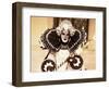 Carnival Costume, Venice, Veneto, Italy-Simon Harris-Framed Photographic Print