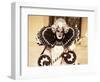 Carnival Costume, Venice, Veneto, Italy-Simon Harris-Framed Photographic Print