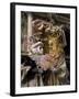 Carnival Costumes, Venice, Veneto, Italy-Roy Rainford-Framed Photographic Print