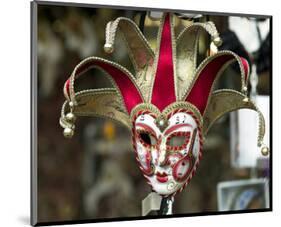 Carnival Mask Venice Italy-null-Mounted Art Print