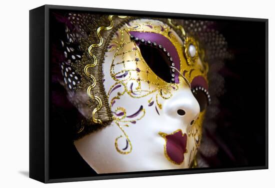 Carnival Masks.-Terry Eggers-Framed Stretched Canvas