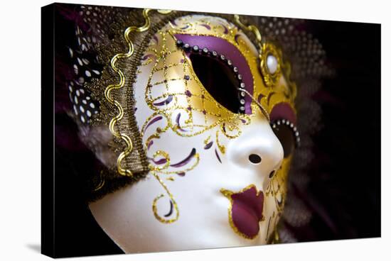 Carnival Masks.-Terry Eggers-Stretched Canvas