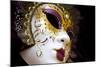 Carnival Masks.-Terry Eggers-Mounted Photographic Print