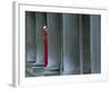 Carnival Model in Red Cape and Gold Mask Peering from Columns in St. Mark's Square, Veneto, Italy-Lee Frost-Framed Photographic Print