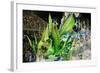 Carnival Parade at the Sambodrome, Rio de Janeiro, Brazil, South America-Yadid Levy-Framed Photographic Print