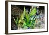 Carnival Parade at the Sambodrome, Rio de Janeiro, Brazil, South America-Yadid Levy-Framed Photographic Print