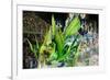 Carnival Parade at the Sambodrome, Rio de Janeiro, Brazil, South America-Yadid Levy-Framed Photographic Print