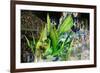 Carnival Parade at the Sambodrome, Rio de Janeiro, Brazil, South America-Yadid Levy-Framed Photographic Print