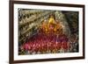 Carnival Parade at the Sambodrome, Rio de Janeiro, Brazil, South America-Yadid Levy-Framed Photographic Print