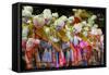 Carnival Parade at the Sambodrome, Rio de Janeiro, Brazil, South America-Yadid Levy-Framed Stretched Canvas