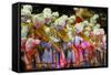 Carnival Parade at the Sambodrome, Rio de Janeiro, Brazil, South America-Yadid Levy-Framed Stretched Canvas