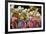 Carnival Parade at the Sambodrome, Rio de Janeiro, Brazil, South America-Yadid Levy-Framed Photographic Print