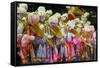 Carnival Parade at the Sambodrome, Rio de Janeiro, Brazil, South America-Yadid Levy-Framed Stretched Canvas