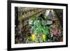 Carnival Parade at the Sambodrome, Rio de Janeiro, Brazil, South America-Yadid Levy-Framed Photographic Print