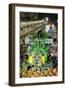 Carnival Parade at the Sambodrome, Rio de Janeiro, Brazil, South America-Yadid Levy-Framed Photographic Print