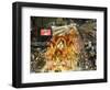 Carnival Parade at the Sambodrome, Rio de Janeiro, Brazil, South America-Yadid Levy-Framed Photographic Print