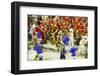 Carnival Parade at the Sambodrome, Rio de Janeiro, Brazil, South America-Yadid Levy-Framed Photographic Print