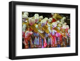 Carnival Parade at the Sambodrome, Rio de Janeiro, Brazil, South America-Yadid Levy-Framed Photographic Print