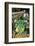 Carnival Parade at the Sambodrome, Rio de Janeiro, Brazil, South America-Yadid Levy-Framed Photographic Print