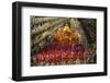 Carnival Parade at the Sambodrome, Rio de Janeiro, Brazil, South America-Yadid Levy-Framed Photographic Print