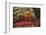 Carnival Parade at the Sambodrome, Rio de Janeiro, Brazil, South America-Yadid Levy-Framed Photographic Print