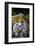 Carnival Parade at the Sambodrome, Rio de Janeiro, Brazil, South America-Yadid Levy-Framed Photographic Print