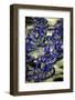 Carnival Parade at the Sambodrome, Rio de Janeiro, Brazil, South America-Yadid Levy-Framed Photographic Print