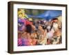 Carnival Procession, Guadeloupe, West Indies, Caribbean, Central America-S Friberg-Framed Photographic Print