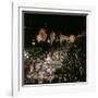 Carnival, Rio de Janeiro, Brazil-null-Framed Photographic Print