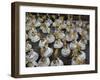 Carnival, Rio de Janeiro, Brazil-null-Framed Photographic Print