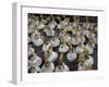 Carnival, Rio de Janeiro, Brazil-null-Framed Photographic Print