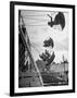 Carnival, Showing One of the Rides-Walter Sanders-Framed Photographic Print