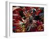 Carnival, Trinidad, West Indies, Caribbean, Central America-Adam Woolfitt-Framed Photographic Print