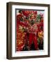 Carnival, Trinidad, West Indies, Caribbean, Central America-Adam Woolfitt-Framed Photographic Print