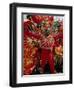 Carnival, Trinidad, West Indies, Caribbean, Central America-Adam Woolfitt-Framed Photographic Print