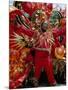 Carnival, Trinidad, West Indies, Caribbean, Central America-Adam Woolfitt-Mounted Photographic Print