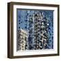 Carnival-Ursula Abresch-Framed Premium Photographic Print