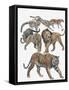 Carnivores from the Felidae Family-null-Framed Stretched Canvas