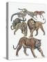 Carnivores from the Felidae Family-null-Stretched Canvas