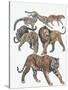 Carnivores from the Felidae Family-null-Stretched Canvas